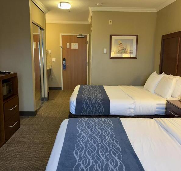 בית מלון כפרי Comfort Inn & Suites Ocean Shores