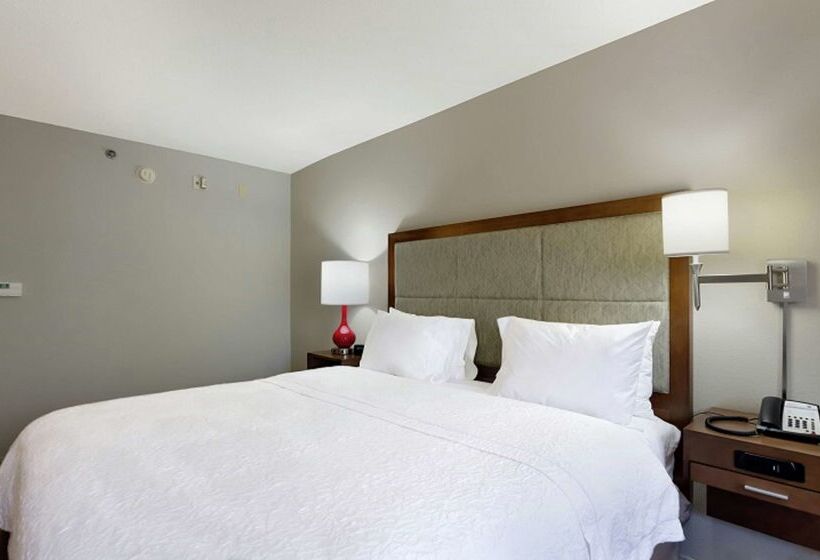 فندق Hampton Inn Salem, Va
