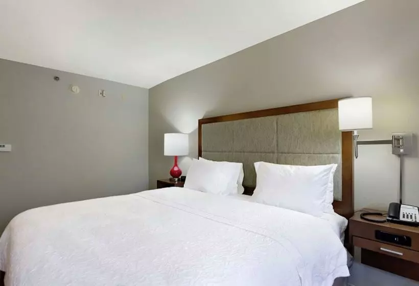 هتل Hampton Inn Salem, Va