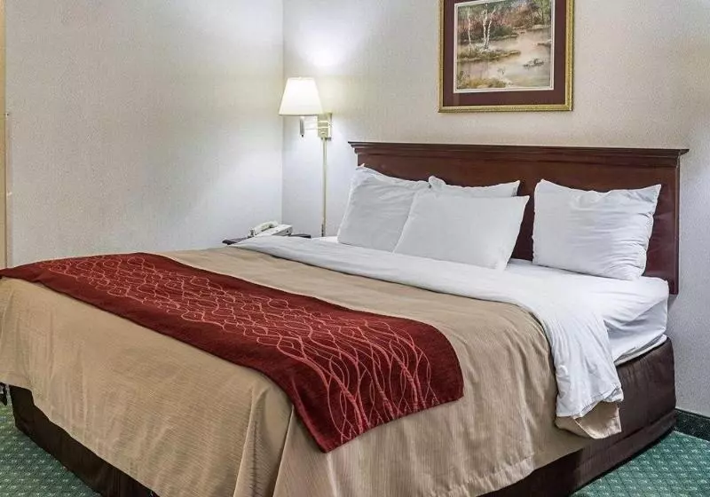 ホテル Holiday Inn Express Gloucester, An Ihg