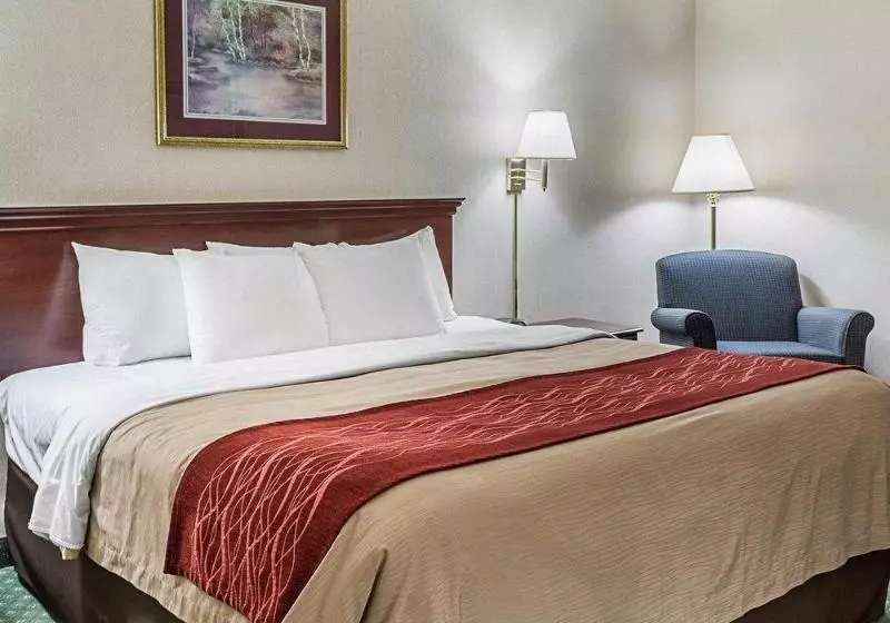 ホテル Holiday Inn Express Gloucester, An Ihg