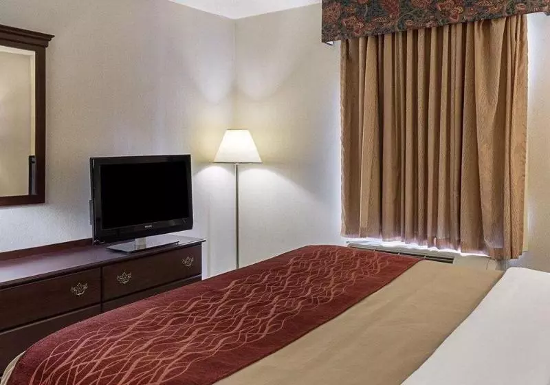 ホテル Holiday Inn Express Gloucester, An Ihg