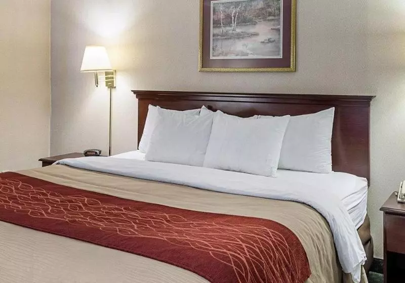 ホテル Holiday Inn Express Gloucester, An Ihg