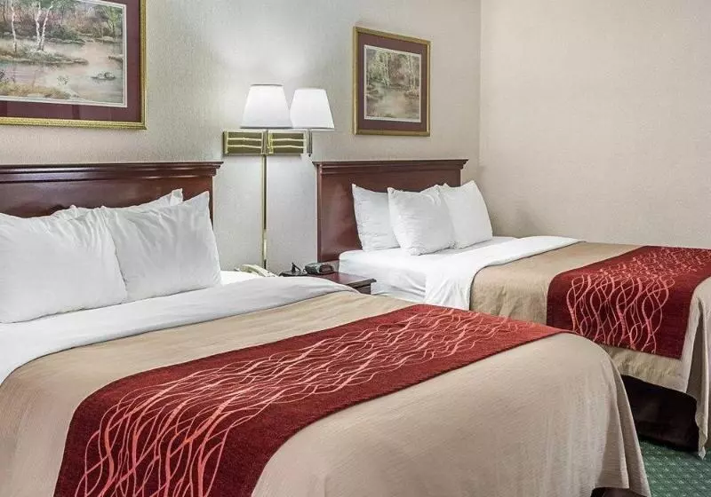 ホテル Holiday Inn Express Gloucester, An Ihg