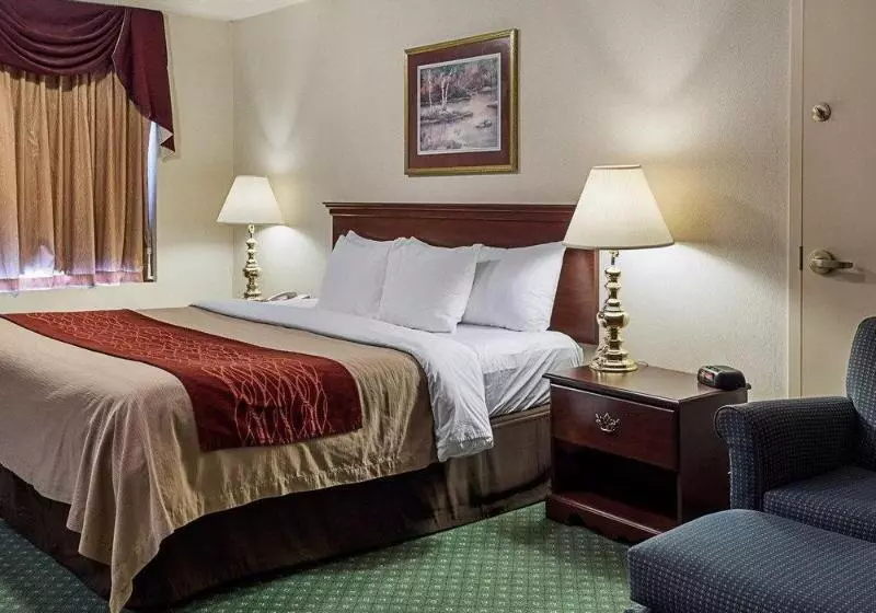 ホテル Holiday Inn Express Gloucester, An Ihg