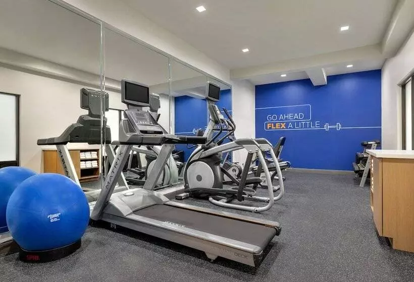 酒店 Holiday Inn Express & Suites Opelousas, An Ihg