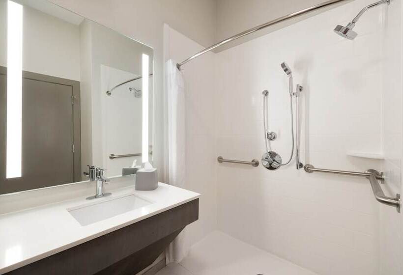 酒店 Holiday Inn Express & Suites Opelousas, An Ihg