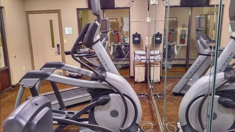 酒店 Holiday Inn Express & Suites Opelousas, An Ihg