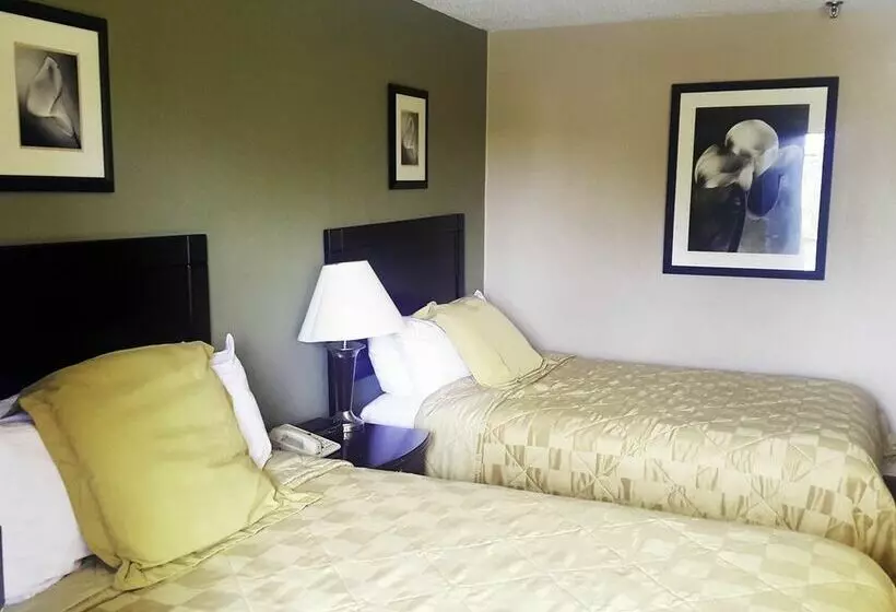 فندق Super 8 By Wyndham Brook Park/cleveland