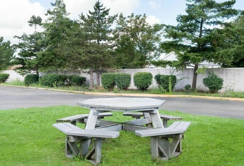 هتل Super 8 By Wyndham Brook Park/cleveland