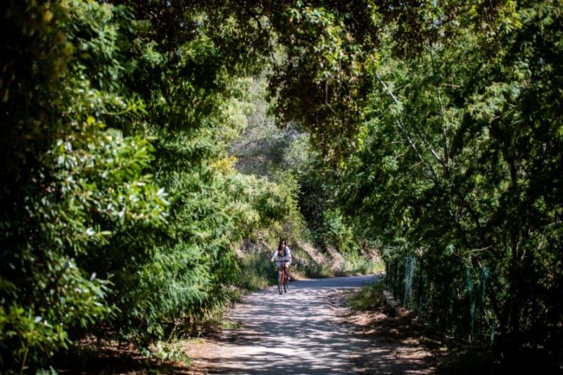 فندق Hôtel Le Bailli De Suffren