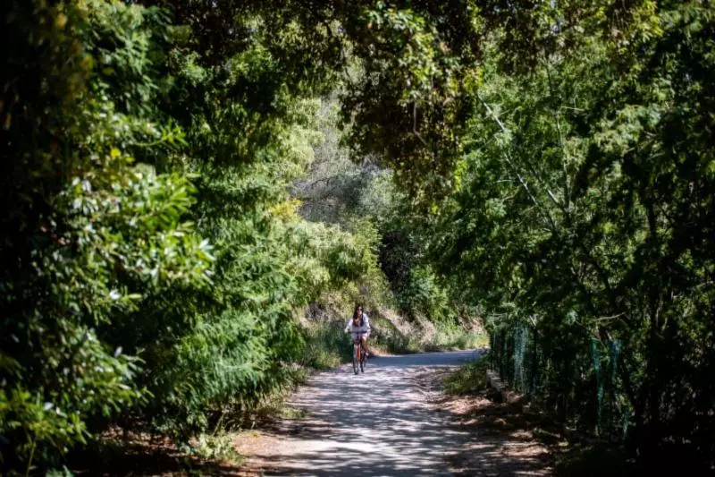 Отель Hôtel Le Bailli De Suffren