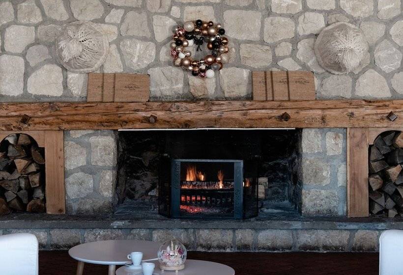 هتل Hôtel Les Roches Fleuries