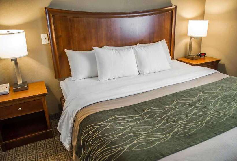 فندق Quality Inn & Suites