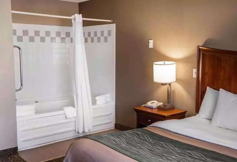 هتل Quality Inn & Suites