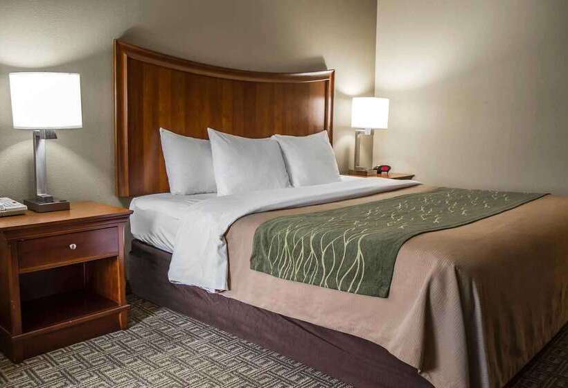 فندق Quality Inn & Suites