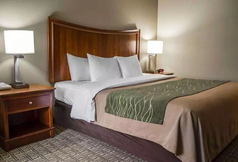 هتل Quality Inn & Suites