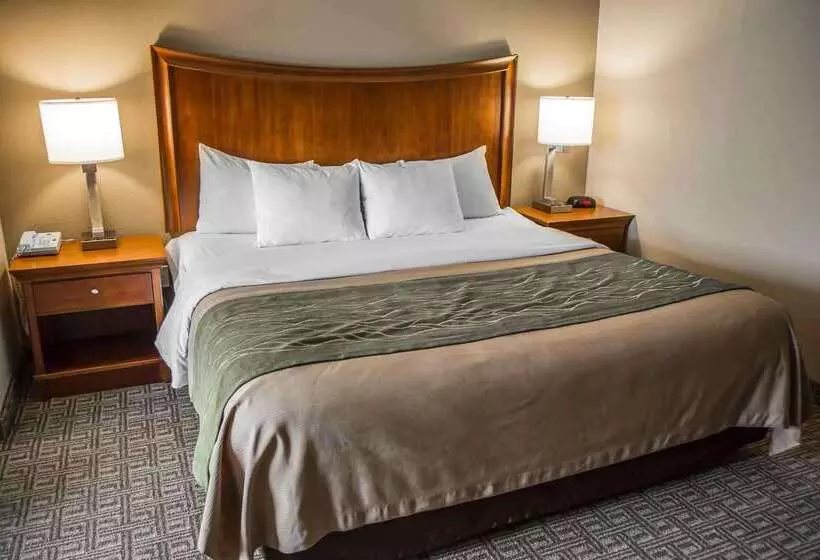 هتل Quality Inn & Suites