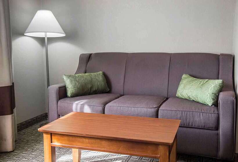 فندق Quality Inn & Suites