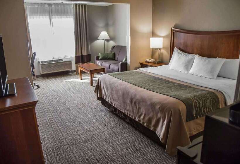 فندق Quality Inn & Suites