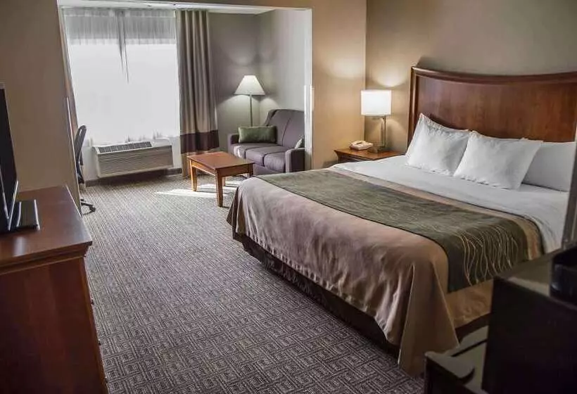 هتل Quality Inn & Suites