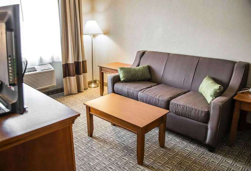 فندق Quality Inn & Suites