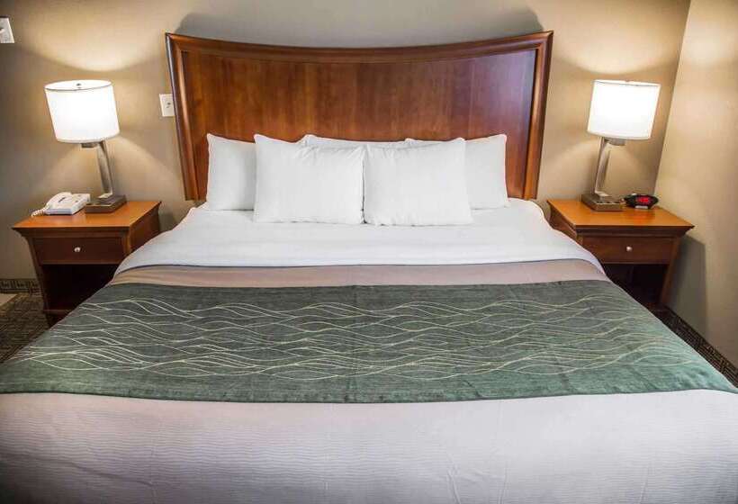 فندق Quality Inn & Suites