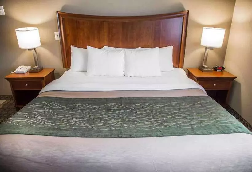 هتل Quality Inn & Suites