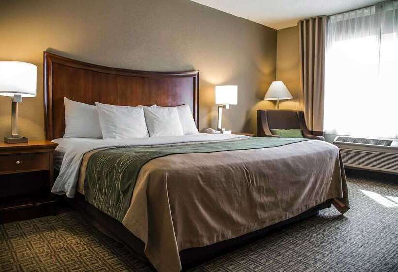 فندق Quality Inn & Suites