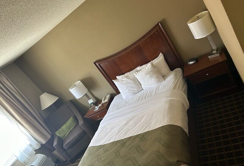 فندق Quality Inn & Suites