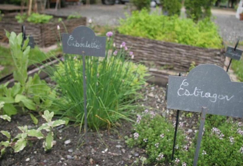 בית מלון כפרי Villa Morelia