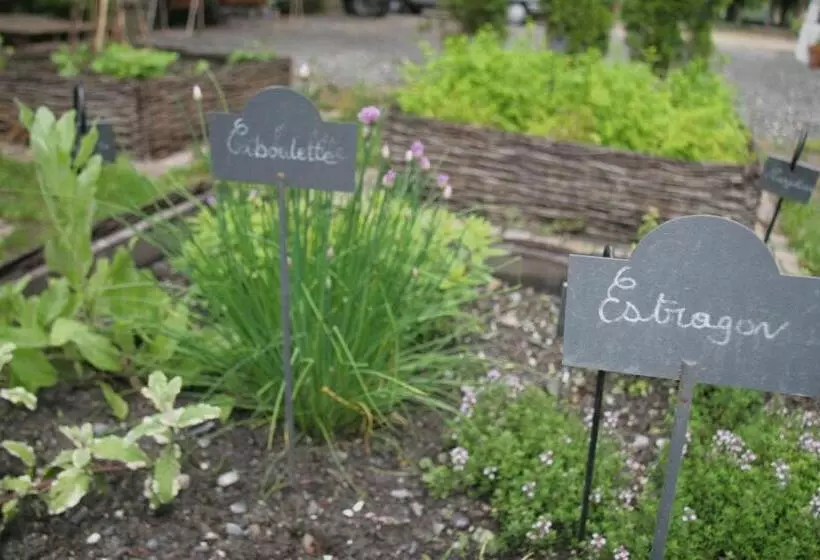 Отель Villa Morelia