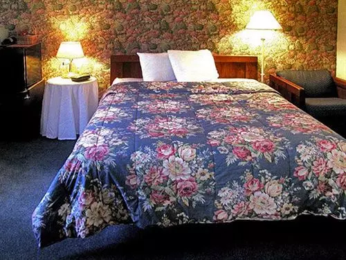 酒店 Arcady At The Sunderland Lodge