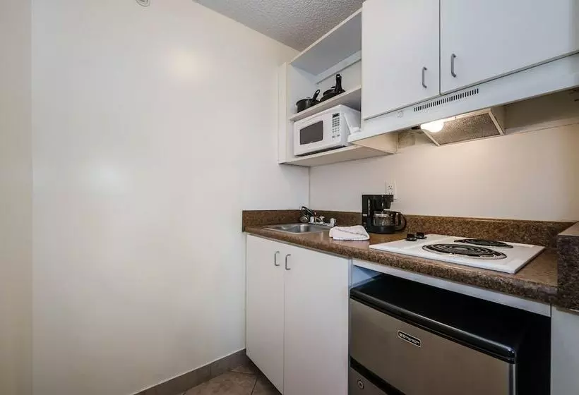 酒店 Tampa Bay Extended Stay