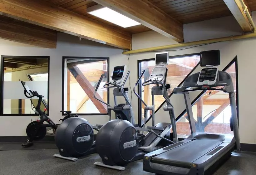 Southshore Hotel On Lake Bemidji, Trademark Coll By Wyndham