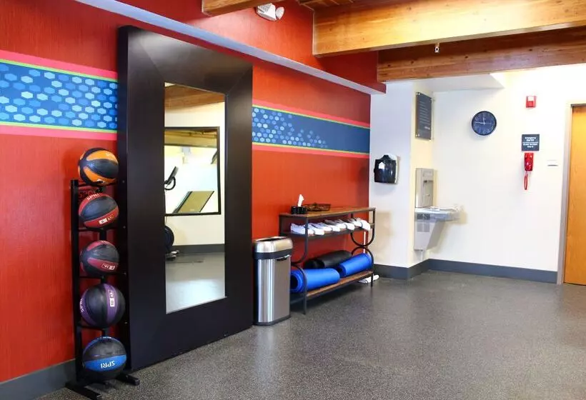 Southshore Hotel On Lake Bemidji, Trademark Coll By Wyndham