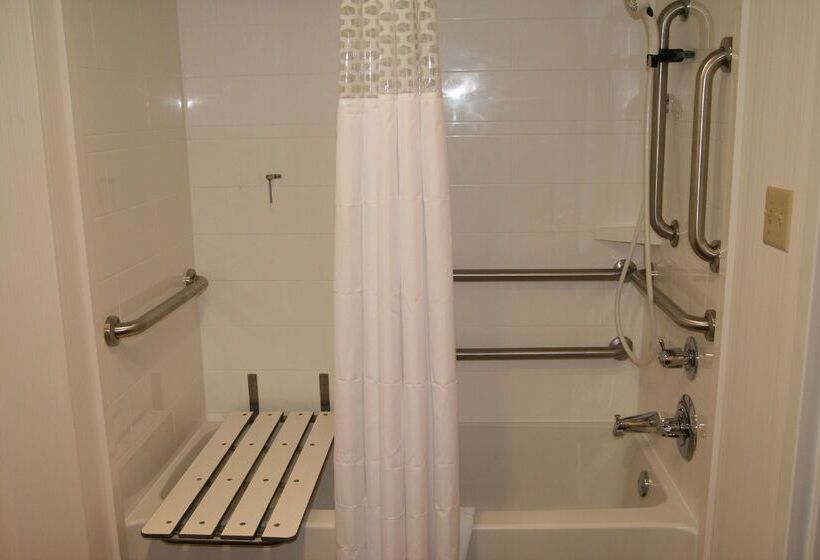 Otel Hampton Inn Birch Run/frankenmuth