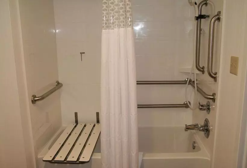 호텔 Hampton Inn Birch Run/frankenmuth