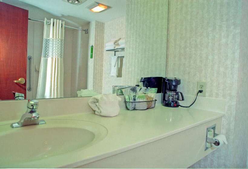 Otel Hampton Inn Birch Run/frankenmuth