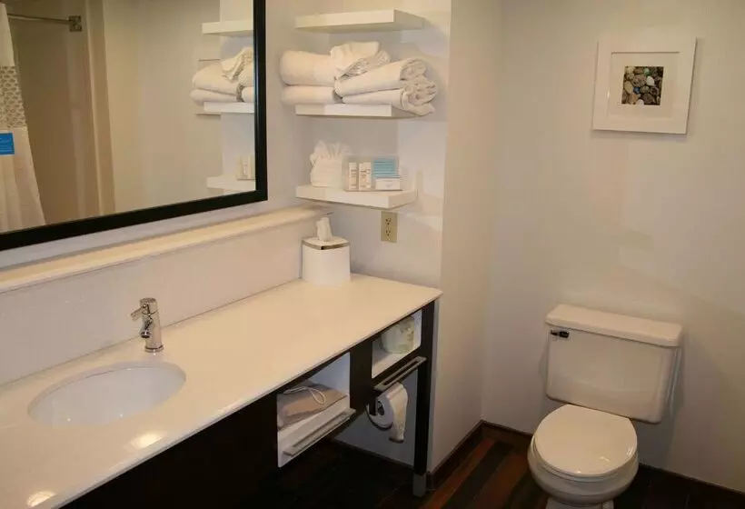 호텔 Hampton Inn Birch Run/frankenmuth