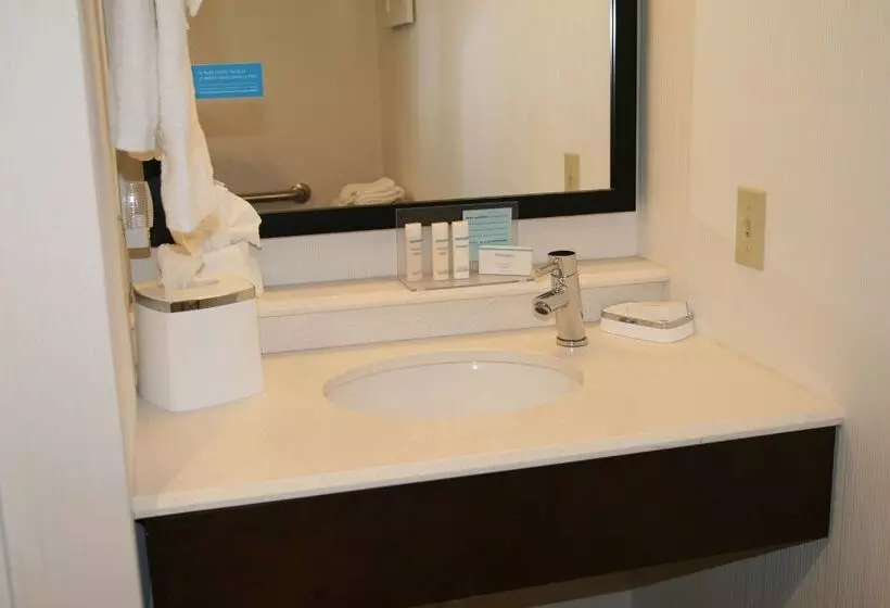 호텔 Hampton Inn Birch Run/frankenmuth