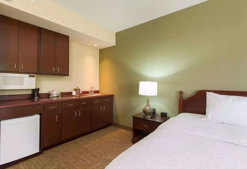 هتل Hampton Inn Buffalo South/i90