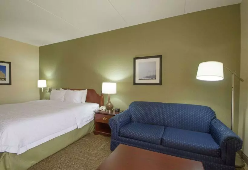 هتل Hampton Inn Buffalo South/i90
