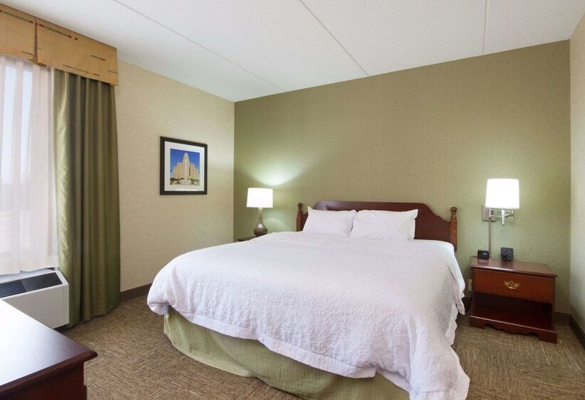 Szálloda Hampton Inn Buffalo South/i90