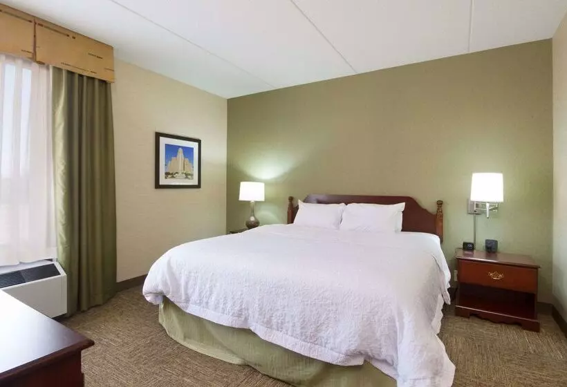 هتل Hampton Inn Buffalo South/i90