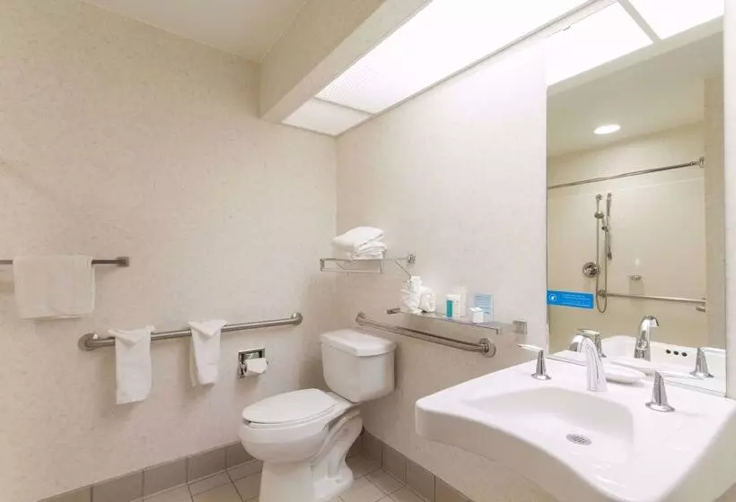 هتل Hampton Inn Buffalo South/i90