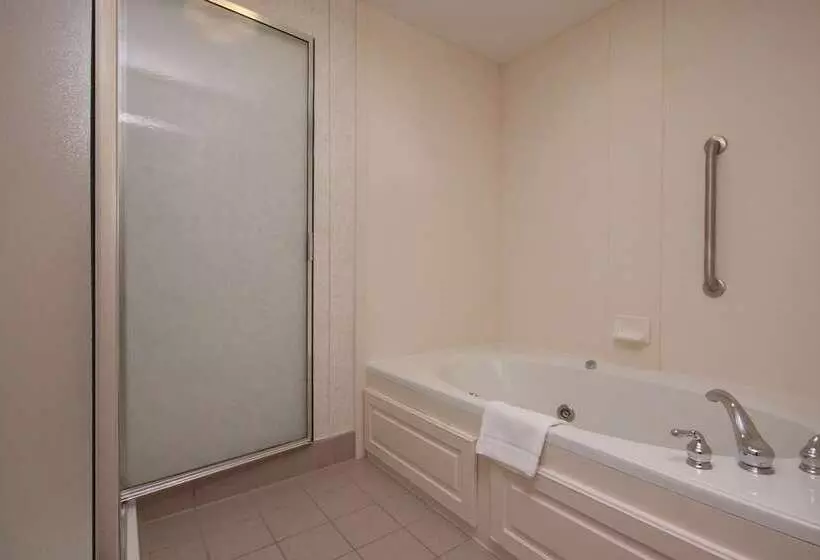 هتل Hampton Inn Buffalo South/i90