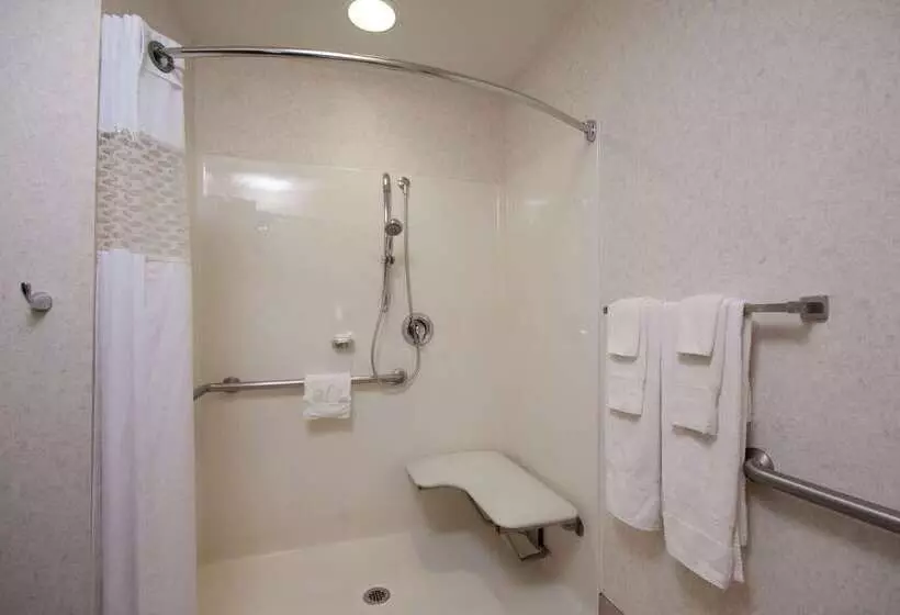 هتل Hampton Inn Buffalo South/i90