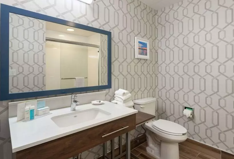 هتل Hampton Inn Buffalo South/i90