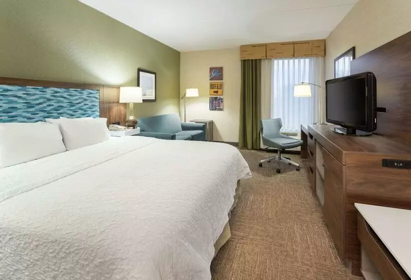 هتل Hampton Inn Buffalo South/i90